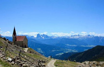 Teutenhofer Zwetschge - Foto 19