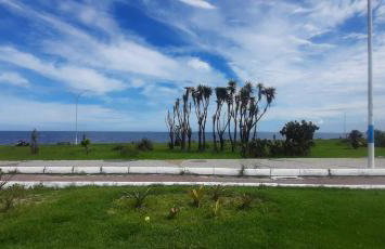 A Casa Branca - Foto 35