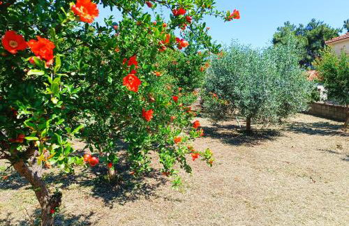 Grandmas Cottage - Photo 31