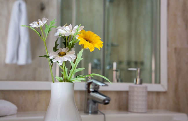 Apartamentos Altamira - Photo 58