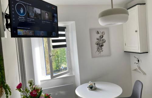 AUX 4 LOGIS - Studio Le Flore - Petit déjeuner offert 1ère nuit - Foto 15