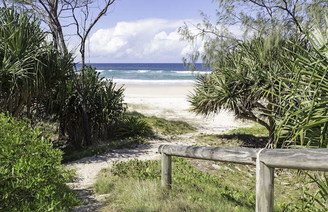 Clothiers Creek Farm - Photo 31