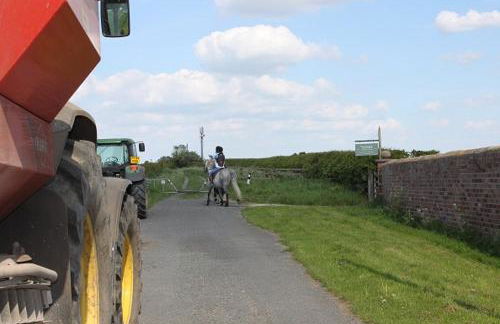 The Annex at Oliver Farm - Foto 18