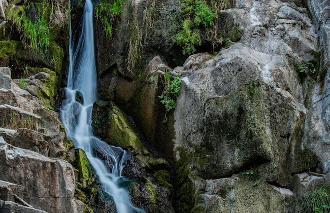 Agriturismo Carrucana - Foto 21