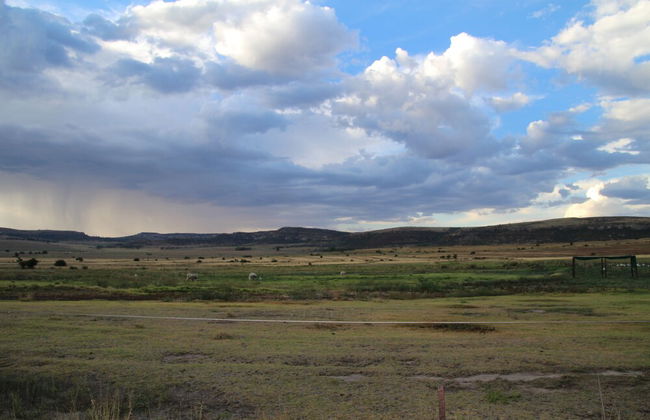 Springwater Cottages - Photo 45