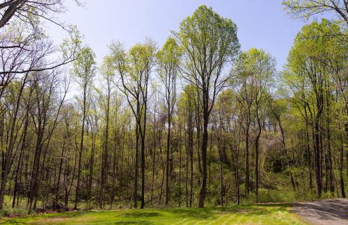 Applewood Ridge Guest Rental - Foto 31