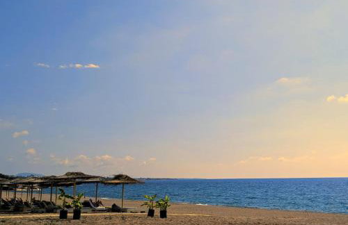 Sani Kasimis - Photo 6