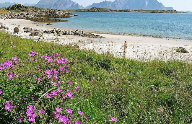 Holiday Home in Leknes - Foto 14