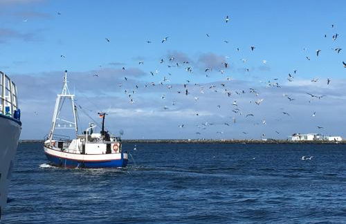 Ostseeblick - Foto 39