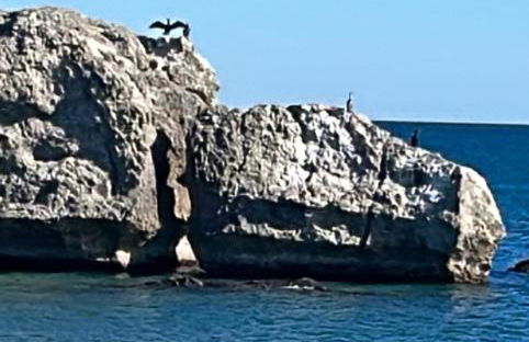 Appartement dans les jardins tropicaux - Photo 31