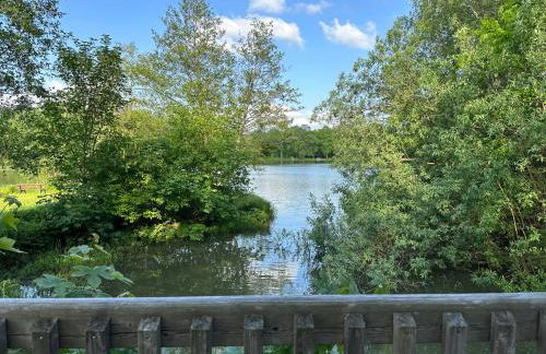Frankenwald Ferienhaus FourStars am See in Lichtenberg, Bayern, Oberfranken, Bad Steben - Hof -Saale, Rennsteig - Foto 50