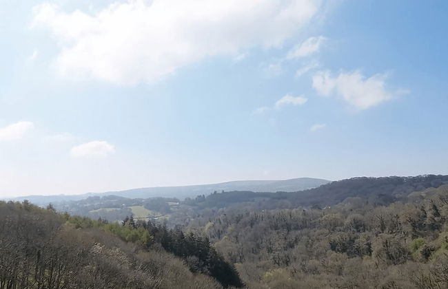 Higher Mapstone in Lustleigh - Foto 35