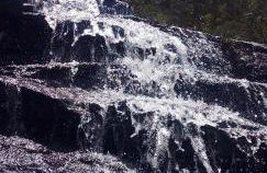 Recanto do Leão - Foto 56