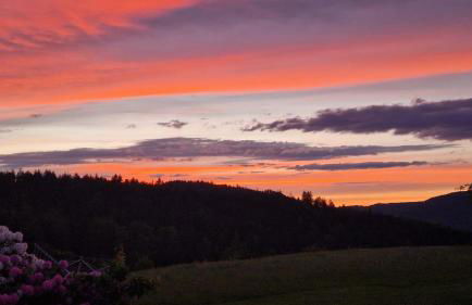 Auszeit Am Wildkatzenpfad - Photo 27