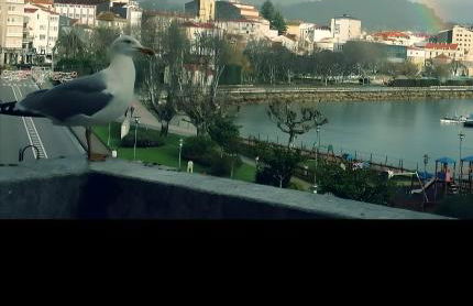 Villa Lukita - Foto 17