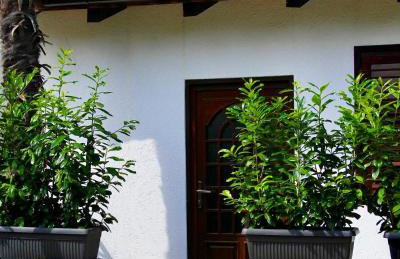 Kuća Aurora - Foto 27