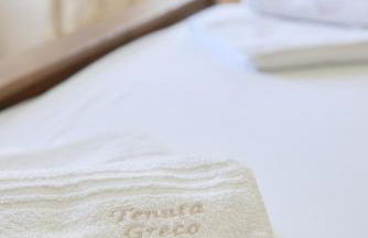 Old Villas Greco 1888 luxury swimming pool - Foto 30