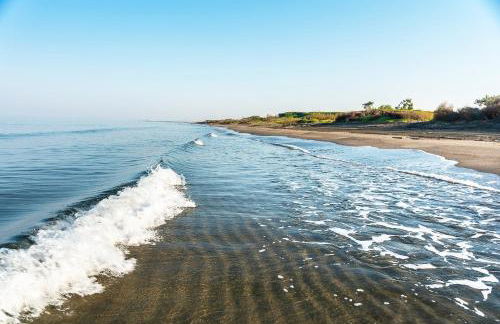 Podere Giovanni Olivo - Foto 15