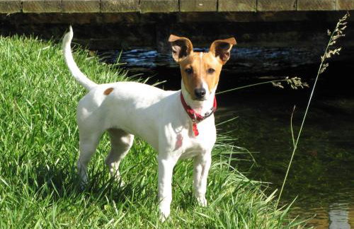 Villa Argonne - Cottages & Spa Privatif - Foto 12