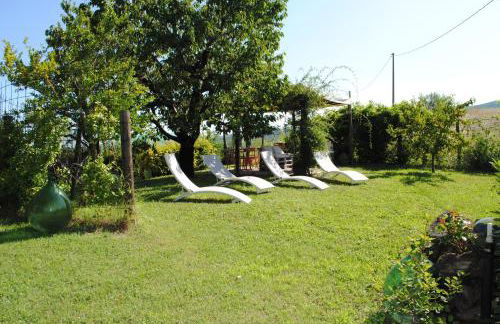 Casa Arcobaleno Holiday home apartments - Foto 37