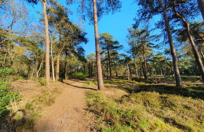 Holiday Lodge in Staphorst With Pool Access - Photo 38