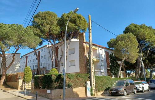 Apartamento Roc Mar - Foto 4