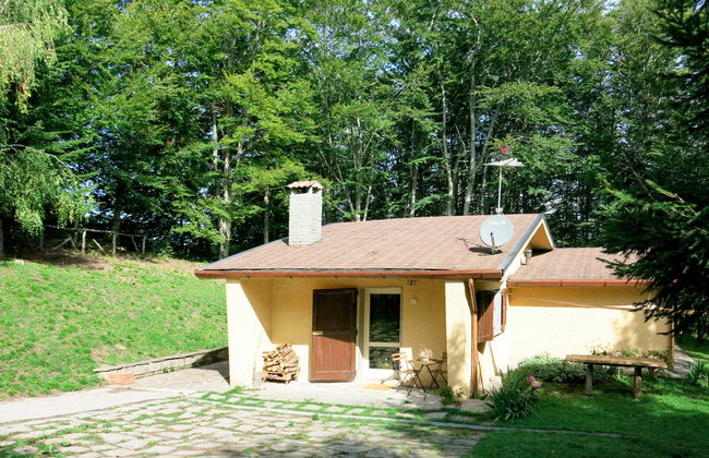 Al Faggio (GLL120) - Foto 1