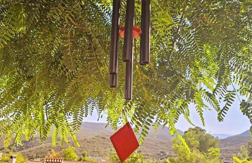 Buen Estar, piscina, barbacoa, jacuzzi en Valencia - Photo 27