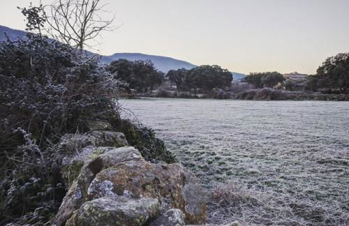 La Candileja - Foto 37