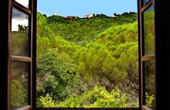 Le Petit Chateau - Foto 58