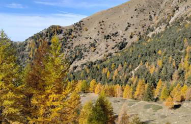 Gite T3 Le Balarino - Mercantour 1 - Foto 26