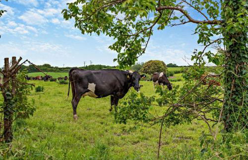 2 Bed in St. Minver oc-r29475 - Foto 28