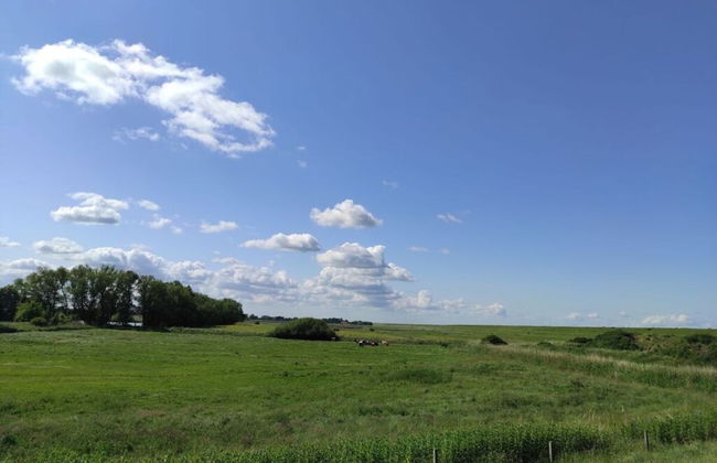 Veerman's Huis Ditzum - Photo 16