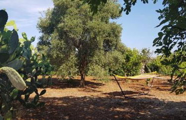 Villa tra gli ulivi - Foto 16