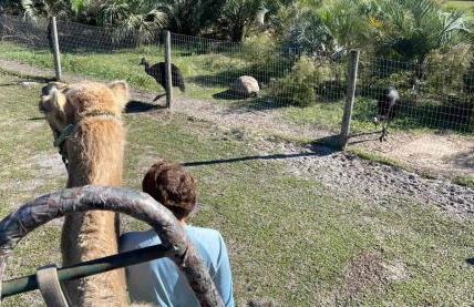 Cozy 2 Bedroom home, Dade City! #1 - Foto 39