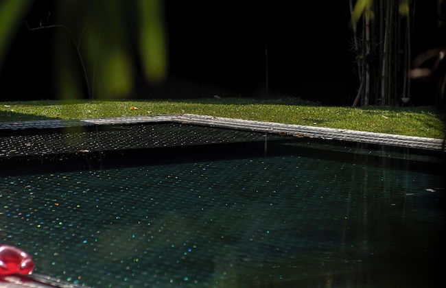 Chandra Residence - Foto 48