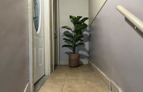 BlueTaro 6 - Foto 14