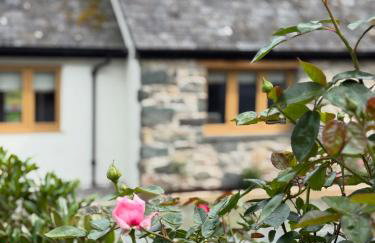 Y Beudy Bach - Foto 20