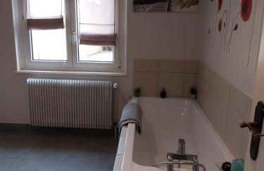 Les Hirondelles du MAMBOURG - Foto 31