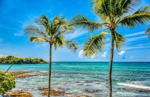 Kona Bali Kai - Foto 16