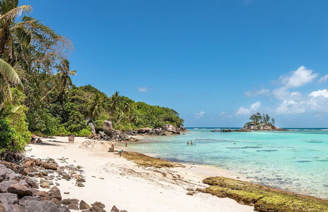 Blue Horizon Villas - Photo 33