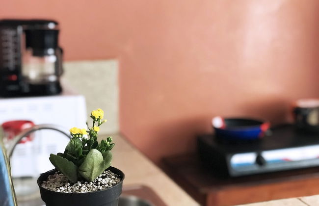 Apartamentos Managua - Foto 63