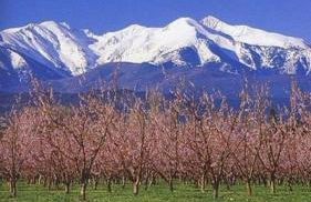 proche de Collioure maison au calme avec Spa - Foto 7