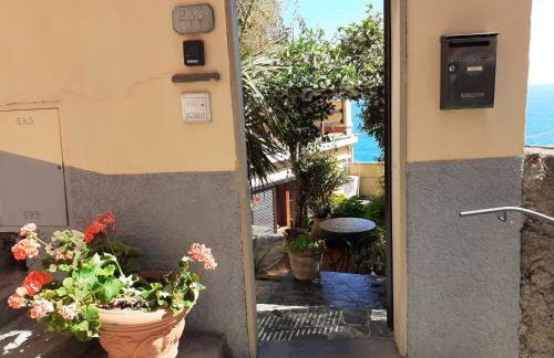 Raggio di Luna - Foto 48