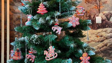 Galena i Gnejs - Foto 5