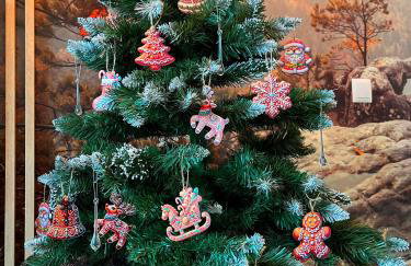 Galena i Gnejs - Foto 5