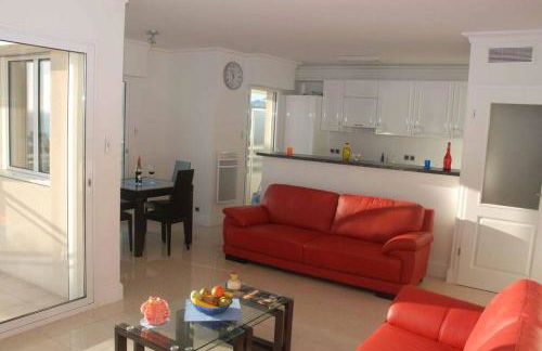 Royal Palm - Foto 13