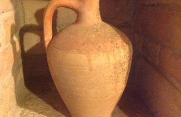 Agriturismo Il Truffarello TODI - Photo 32