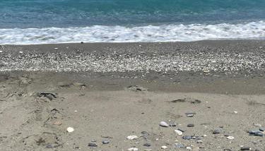 MOURTERI TASOSEVa - Foto 2