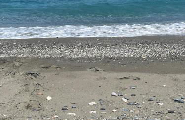 MOURTERI TASOSEVa - Foto 2